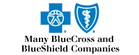 Blue Cross and Blue Shield healthcare